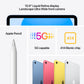 iPad (10th generation), 2022