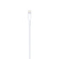 Lightning to USB Cable
