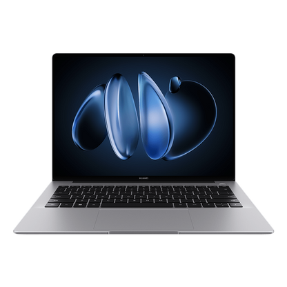 HUAWEI MateBook 14 [16GB + 1TB]
