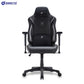 TTRacing Swift X Pro Gaming Chair