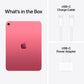 2025 iPad 11th Generation (A16)
